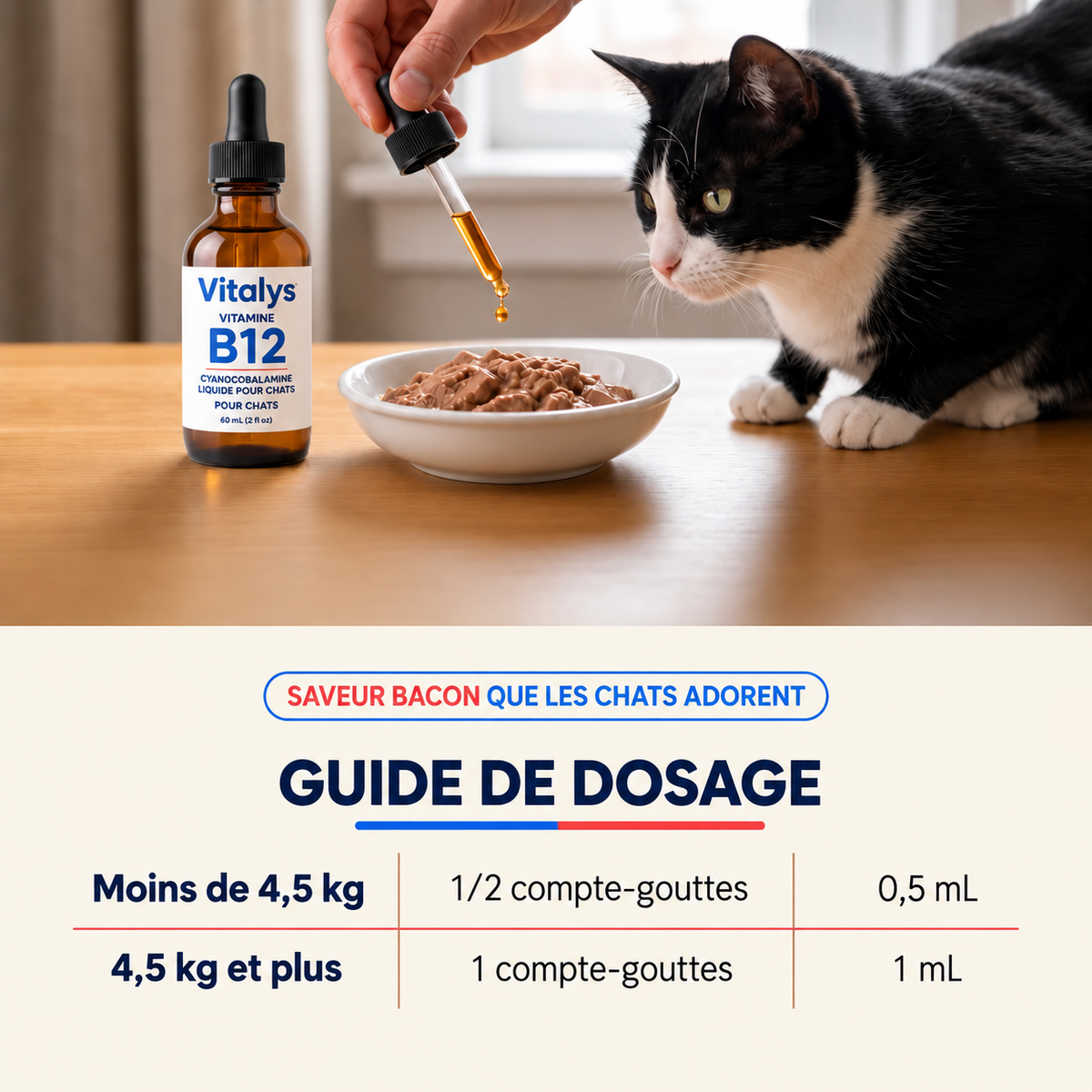 Vitalys™ – Gouttes de vitamine B12 pour chat